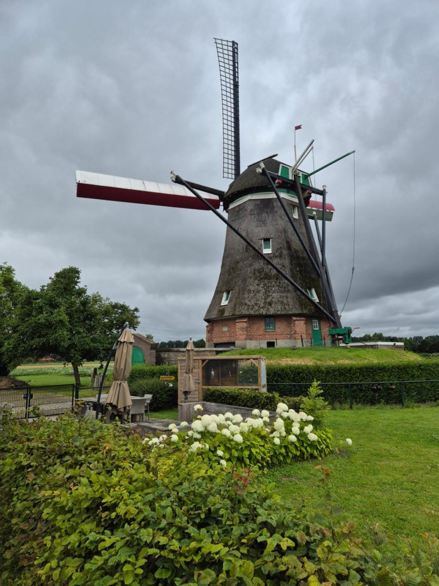 Bij Molen De Blazekop, Rustig En Landelijk Ovezande Exterior foto